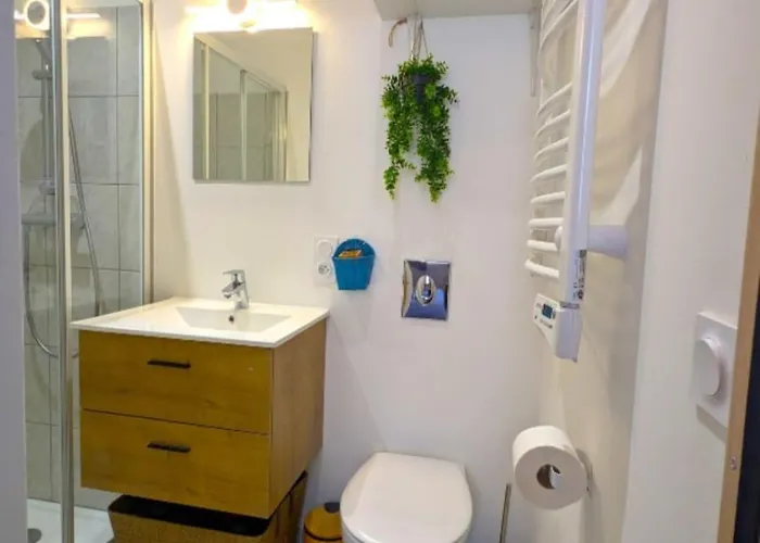 Apartamento T2 Bis Moderne Avec Mezzanine Calme Hyper Centre